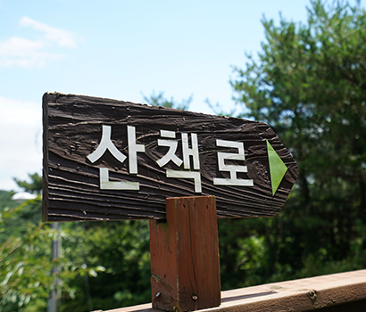 산책로